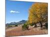 USA, Texas, Davis Mountains Scenic Loop Drive, Sawtooth Mountain.-Bernard Friel-Mounted Photographic Print