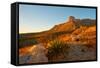 Usa. Texas, Guadalupe Mountain El Capitan Prominence-Bernard Friel-Framed Stretched Canvas