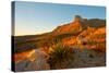 Usa. Texas, Guadalupe Mountain El Capitan Prominence-Bernard Friel-Stretched Canvas