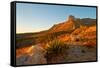 Usa. Texas, Guadalupe Mountain El Capitan Prominence-Bernard Friel-Framed Stretched Canvas