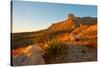 Usa. Texas, Guadalupe Mountain El Capitan Prominence-Bernard Friel-Stretched Canvas