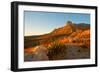 Usa. Texas, Guadalupe Mountain El Capitan Prominence-Bernard Friel-Framed Photographic Print