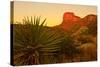 Usa. Texas, Guadalupe Mountain El Capitan Prominence-Bernard Friel-Stretched Canvas