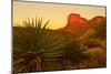 Usa. Texas, Guadalupe Mountain El Capitan Prominence-Bernard Friel-Mounted Photographic Print