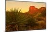 Usa. Texas, Guadalupe Mountain El Capitan Prominence-Bernard Friel-Mounted Photographic Print