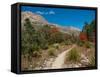 Usa. Texas, Guadalupe Mountain, Mckittrick Canyon Hiking Trail-Bernard Friel-Framed Stretched Canvas