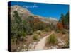 Usa. Texas, Guadalupe Mountain, Mckittrick Canyon Hiking Trail-Bernard Friel-Stretched Canvas