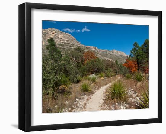 Usa. Texas, Guadalupe Mountain, Mckittrick Canyon Hiking Trail-Bernard Friel-Framed Premium Photographic Print