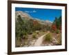 Usa. Texas, Guadalupe Mountain, Mckittrick Canyon Hiking Trail-Bernard Friel-Framed Photographic Print