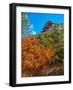 Usa. Texas, Guadalupe Mountain, Mckittrick Canyon Hiking Trail-Bernard Friel-Framed Photographic Print