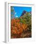 Usa. Texas, Guadalupe Mountain, Mckittrick Canyon Hiking Trail-Bernard Friel-Framed Photographic Print