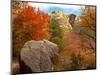 Usa. Texas, Guadalupe Mountain, Mckittrick Canyon Hiking Trail-Bernard Friel-Mounted Photographic Print