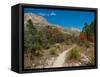 Usa. Texas, Guadalupe Mountain, Mckittrick Canyon Hiking Trail-Bernard Friel-Framed Stretched Canvas