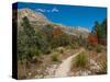 Usa. Texas, Guadalupe Mountain, Mckittrick Canyon Hiking Trail-Bernard Friel-Stretched Canvas
