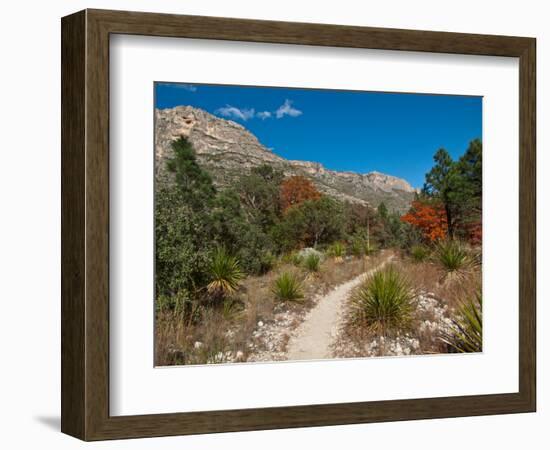 Usa. Texas, Guadalupe Mountain, Mckittrick Canyon Hiking Trail-Bernard Friel-Framed Photographic Print