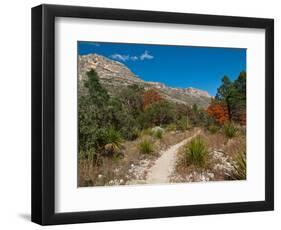 Usa. Texas, Guadalupe Mountain, Mckittrick Canyon Hiking Trail-Bernard Friel-Framed Photographic Print