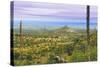 USA, Texas, Guadalupe Mountains NP. Landscape with Small Mountain-Don Paulson-Stretched Canvas