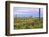 USA, Texas, Guadalupe Mountains NP. Landscape with Small Mountain-Don Paulson-Framed Photographic Print