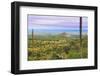 USA, Texas, Guadalupe Mountains NP. Landscape with Small Mountain-Don Paulson-Framed Photographic Print