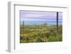 USA, Texas, Guadalupe Mountains NP. Landscape with Small Mountain-Don Paulson-Framed Photographic Print