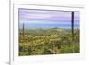 USA, Texas, Guadalupe Mountains NP. Landscape with Small Mountain-Don Paulson-Framed Photographic Print