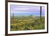 USA, Texas, Guadalupe Mountains NP. Landscape with Small Mountain-Don Paulson-Framed Photographic Print