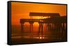 USA, Tybee Island, Tybee Pier in the Morning Light-Joanne Wells-Framed Stretched Canvas