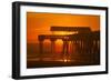 USA, Tybee Island, Tybee Pier in the Morning Light-Joanne Wells-Framed Photographic Print