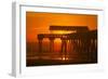 USA, Tybee Island, Tybee Pier in the Morning Light-Joanne Wells-Framed Photographic Print