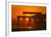 USA, Tybee Island, Tybee Pier in the Morning Light-Joanne Wells-Framed Photographic Print