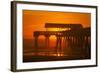 USA, Tybee Island, Tybee Pier in the Morning Light-Joanne Wells-Framed Photographic Print