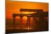 USA, Tybee Island, Tybee Pier in the Morning Light-Joanne Wells-Mounted Photographic Print