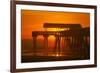 USA, Tybee Island, Tybee Pier in the Morning Light-Joanne Wells-Framed Photographic Print