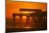 USA, Tybee Island, Tybee Pier in the Morning Light-Joanne Wells-Mounted Photographic Print