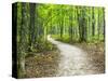 USA, Upper Michigan. Hiking trail in early autumn-Terry Eggers-Stretched Canvas