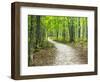 USA, Upper Michigan. Hiking trail in early autumn-Terry Eggers-Framed Photographic Print