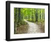 USA, Upper Michigan. Hiking trail in early autumn-Terry Eggers-Framed Photographic Print