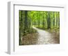 USA, Upper Michigan. Hiking trail in early autumn-Terry Eggers-Framed Photographic Print