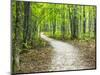 USA, Upper Michigan. Hiking trail in early autumn-Terry Eggers-Mounted Photographic Print