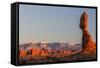 USA, Utah, Arches Balanced Rock and La Sal Mountains at Sunset-Jamie & Judy Wild-Framed Stretched Canvas
