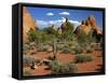 USA, Utah, Arches Devil's Garden with Sand Towers and Dead Trees-Petr Bednarik-Framed Stretched Canvas