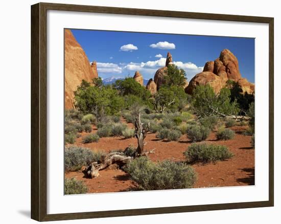 USA, Utah, Arches Devil's Garden with Sand Towers and Dead Trees-Petr Bednarik-Framed Photographic Print