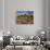 USA, Utah, Arches Devil's Garden with Sand Towers and Dead Trees-Petr Bednarik-Photographic Print displayed on a wall