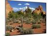 USA, Utah, Arches Devil's Garden with Sand Towers and Dead Trees-Petr Bednarik-Mounted Photographic Print