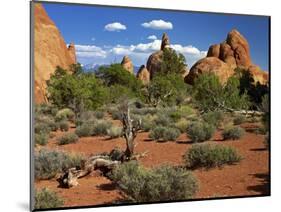 USA, Utah, Arches Devil's Garden with Sand Towers and Dead Trees-Petr Bednarik-Mounted Photographic Print