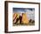 USA, Utah. Arches National Park, Fiery Furnace Fins-Jamie & Judy Wild-Framed Photographic Print