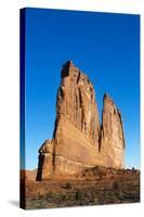 USA, Utah, Arches National Park, the Organ-Jamie & Judy Wild-Stretched Canvas