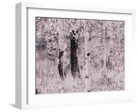 USA, Utah, Aspen Grove in infrared of the Logan Pass area-Terry Eggers-Framed Photographic Print