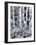 USA, Utah, Aspen Grove in infrared of the Logan Pass area-Terry Eggers-Framed Photographic Print