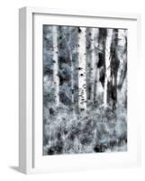 USA, Utah, Aspen Grove in infrared of the Logan Pass area-Terry Eggers-Framed Photographic Print